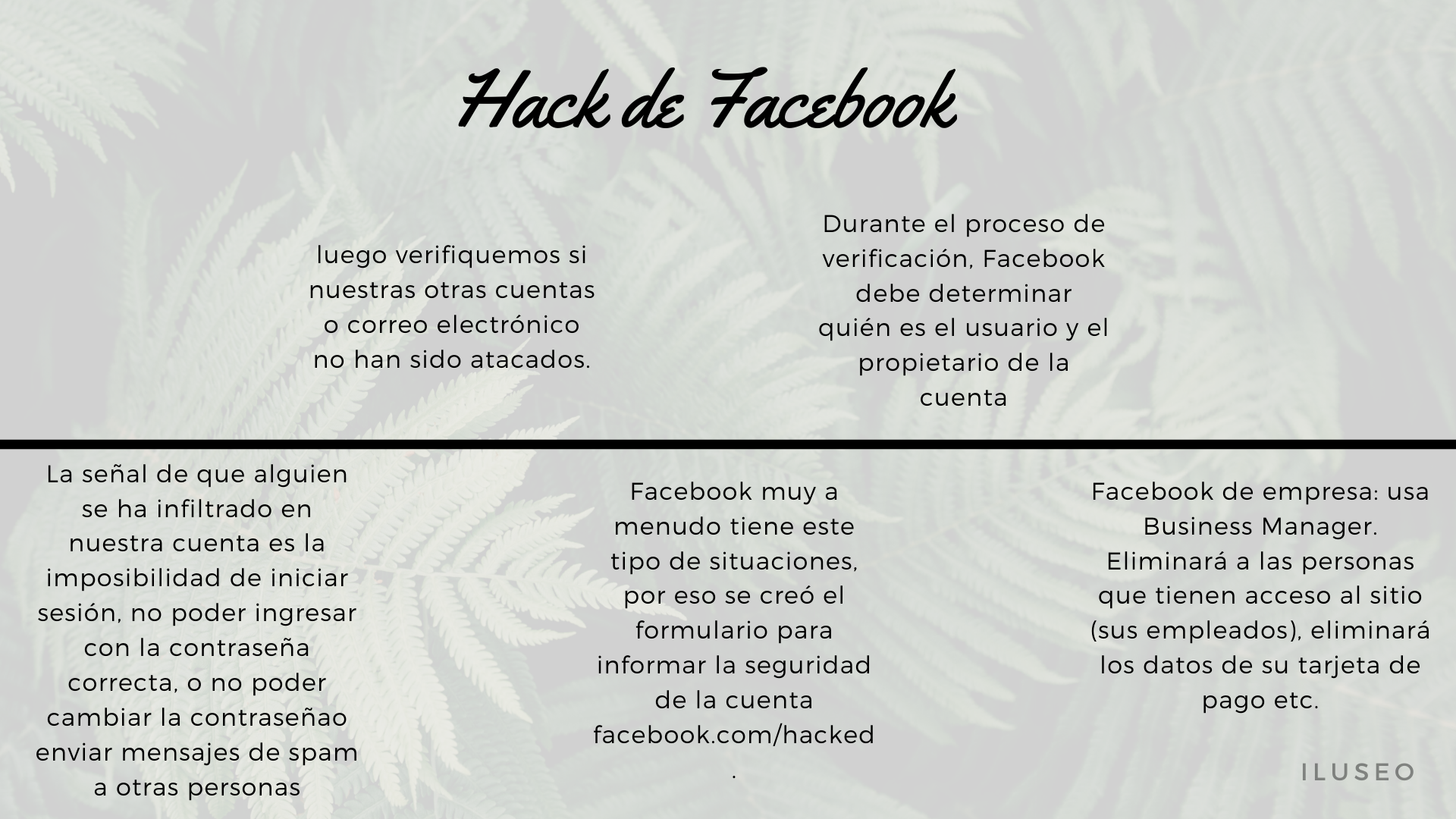 iluseo hack-facebook